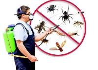 CAN Pest Control image 3